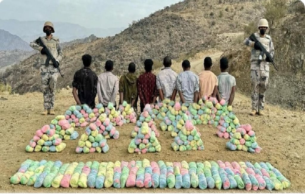 القبض على 8 مخالفين لنظام أمن الحدود لتهريبهم 160 كيلوجرامًا من القات