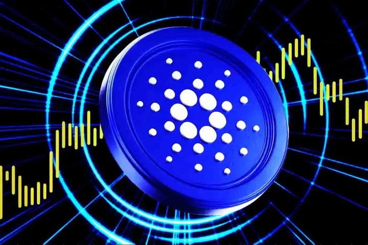 يلتقي الرئيس التنفيذي لشركة Cardano Foundation مع مدير الأصول البالغ 1.6 أمتار فرانكلين تيمبلتون ، ما هو الطبخ؟