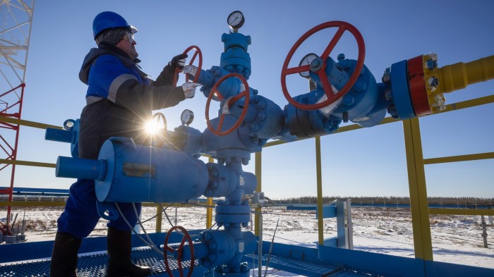 يقول النمسا إن الاتحاد الأوروبي يجب أن يكون مفتوحًا لاستئناف واردات الغاز الروسية.