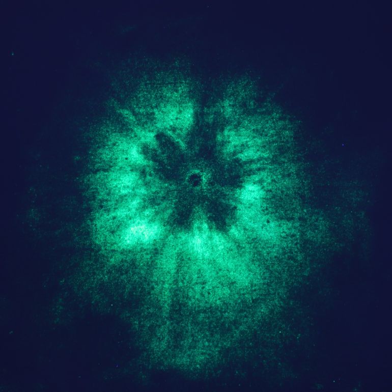 يعتقد الباحثون أن هذه الطريقة الجديدة ستكون مفيدة بشكل خاص لفرق الاستجابة الأولية (أرنو فايدن)