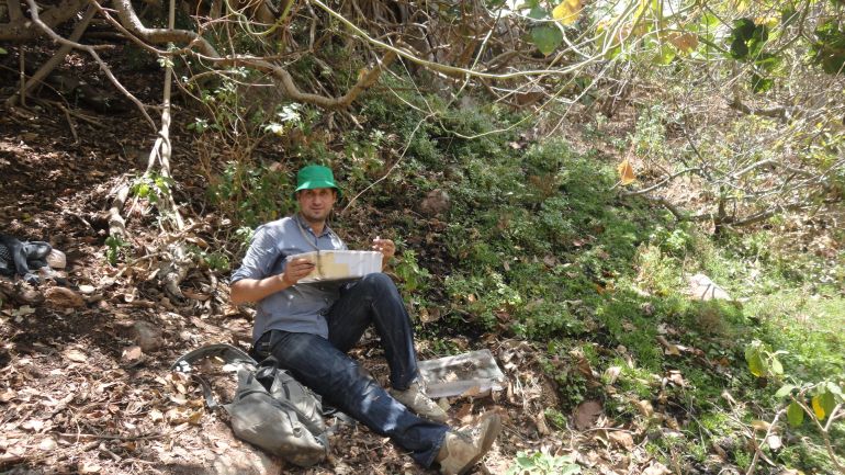 أثناء جمع النمل في جزيرة سقطرى اليمنية (مصطفى شرف)