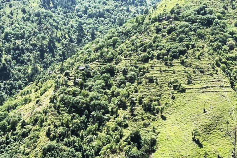 جمال الطبيعية الذي يكتسيه وادي نيلم في كشمير