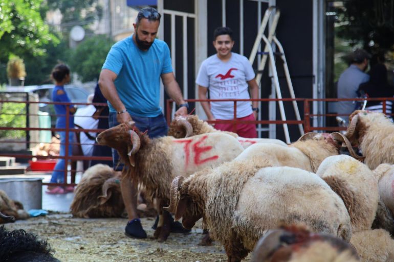 أضاحي العيد