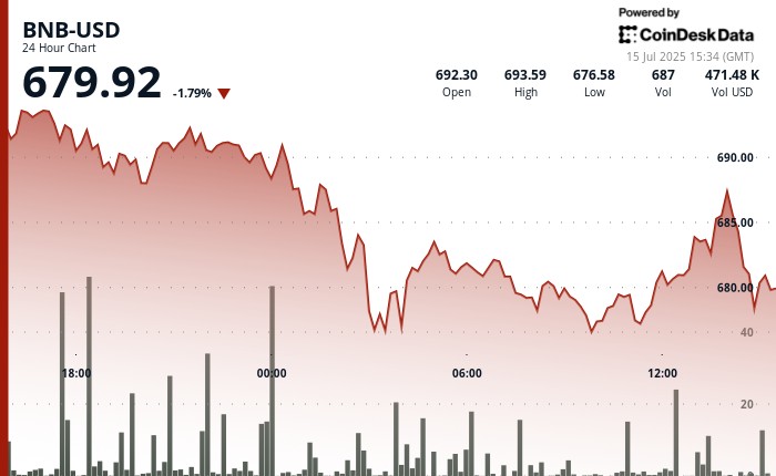 ينزلق BNB ما يقرب من 2 ٪ مع مرور التجار بعد الركض الأعلى