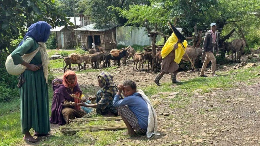 “كل ما نريده هو السلام”.. مجتمع مسالم وسط صراع أمهرة في إثيوبيا | ثقافة