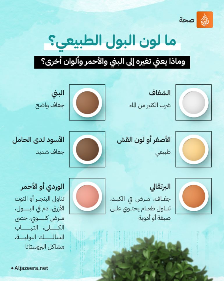 لون البول البول عبارة عن مزيج من الماء والإلكتروليت “الكهارل” والفضلات التي تصفيها الكلى من الدم، ويعد وسيلة مفيدة للتشخيص منذ الأيام الأولى للطب، إذ يمكن أن يخبرنا كثيرا عما يحدث في الجسم