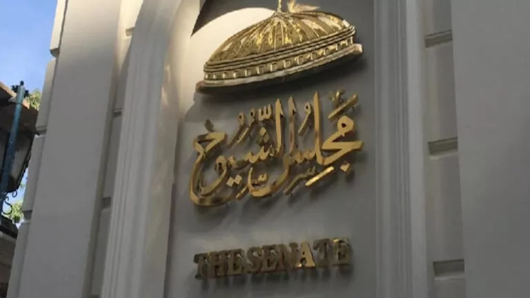 برلمانية: ما يجري في غزة يفتقر للإنسانية ويكشف تجاهلًا صارخًا للقانون