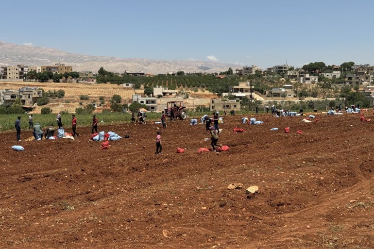 كلفة الري تقفز من 7% إلى أكثر من 30% لتثقل كاهل المزارعين في ظل أزمات متلاحقة