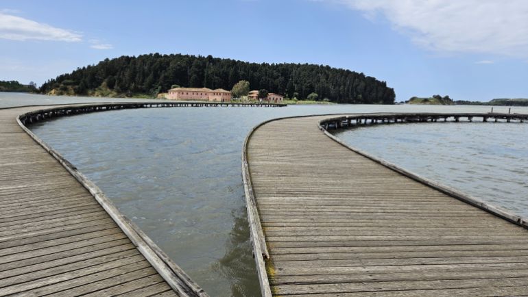 28 ـ تُعد بحيرة نارتا في شمال فلورا من أكبر البحيرات الساحلية المالحة في ألبانيا وأكثرها تنوعًا بيئيًا