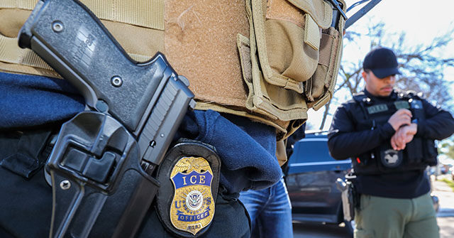 المنظمات الناشطة المهاجرين تتتبع النشاط الجليدي ، وزيادة العنف