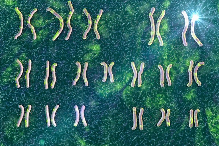 يحتوي الجينوم البشري على 46 كروموسوم تتكون من أكثر من 3 مليار تتابع (غيتي)