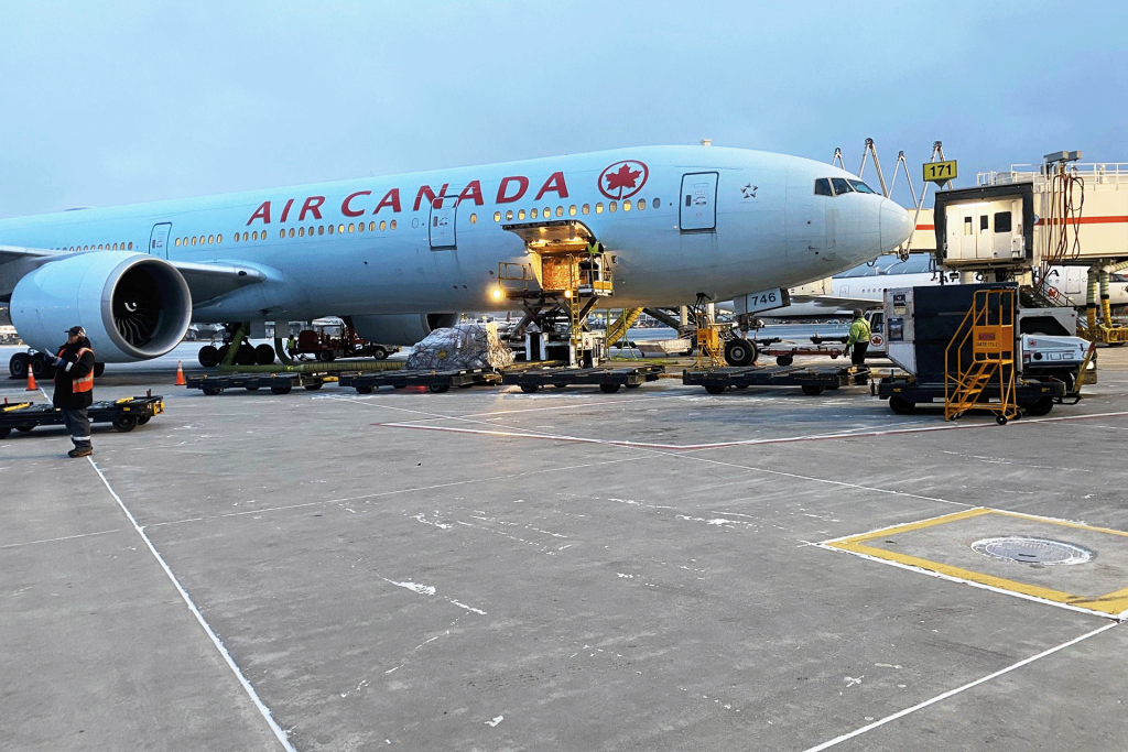 ترامب يدفع الكنديين للعزوف عن السفر إلى أميركا