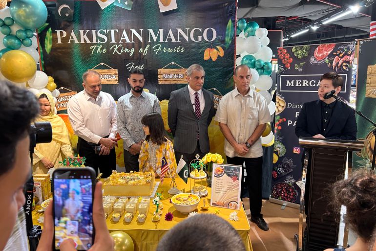 دبلوماسية المانغا الباكستانية