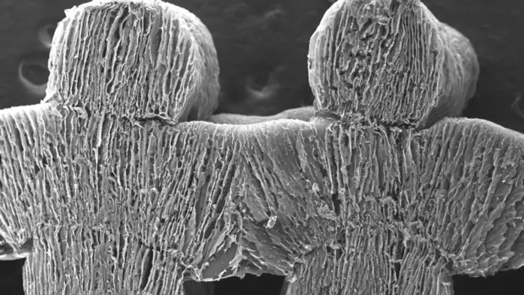 “الأيروجيل”.. إسفنجة شمسية تحول ماء البحر إلى عذب من دون طاقة | علوم