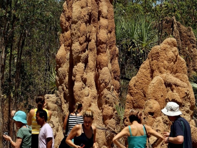 Tourists (below) look at spectacular cathedral termite mounds (C) in the Litchfield National Park near Darwin in Australia's Northern Territory on September 4, 2008. Often visible along Northern Territory, also know as the 'Top End' highways, they are amongst the largest mound built by termites anywhere in the world and are reminiscent of mediaeval cathedrals.