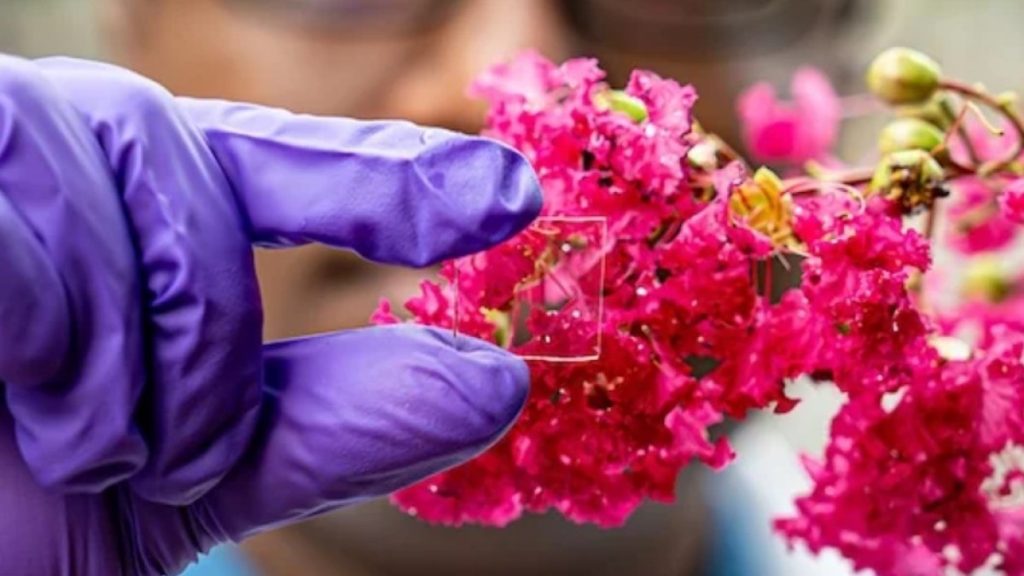 علماء يبتكرون طلاء للزجاج عازلا وشفافا ولا يتأثر بالأمطار