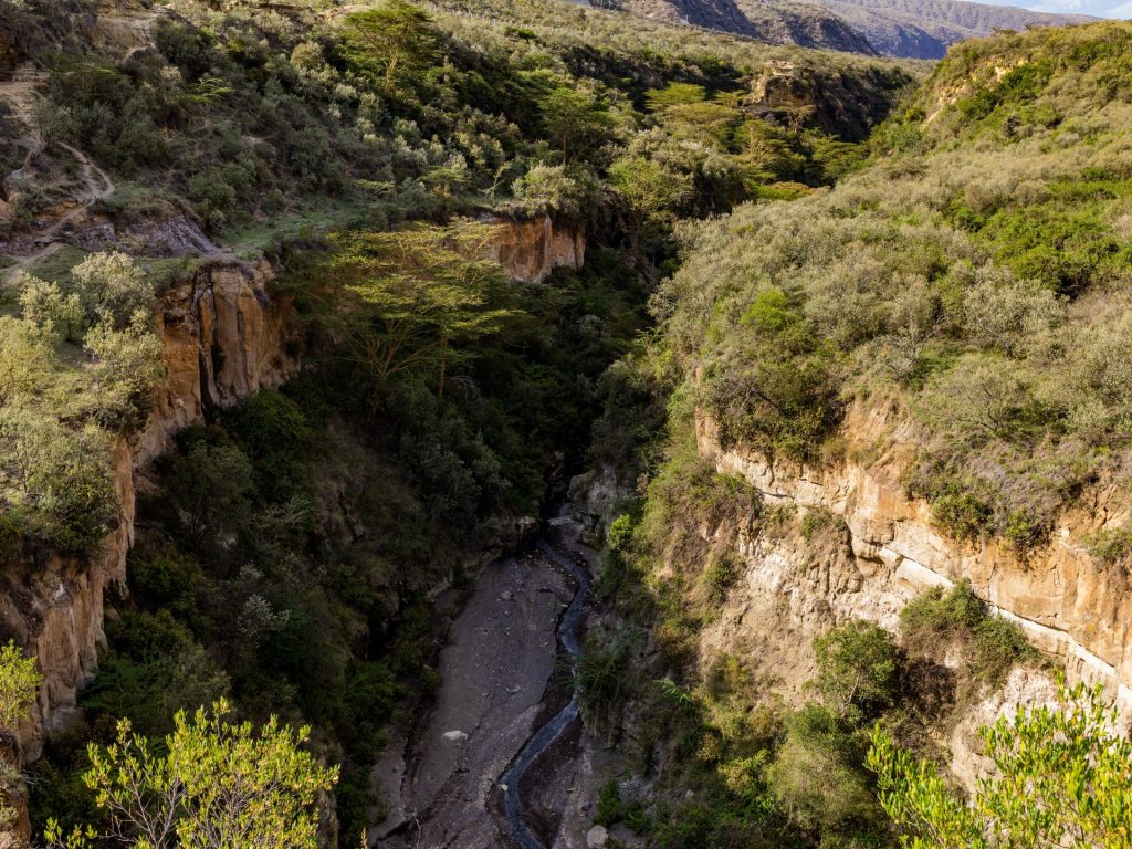 عالمة بريطانية تكشف للجزيرة نت أسرار انقسام أفريقيا وميلاد محيط جديد