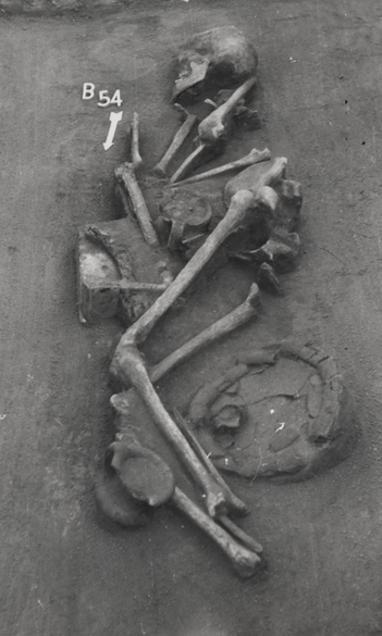 تعتمد الدراسة على تحليل شامل لمجموعة كبيرة من الرفات البشرية والحيوانية (معهد إلتي للبيولوجيا)