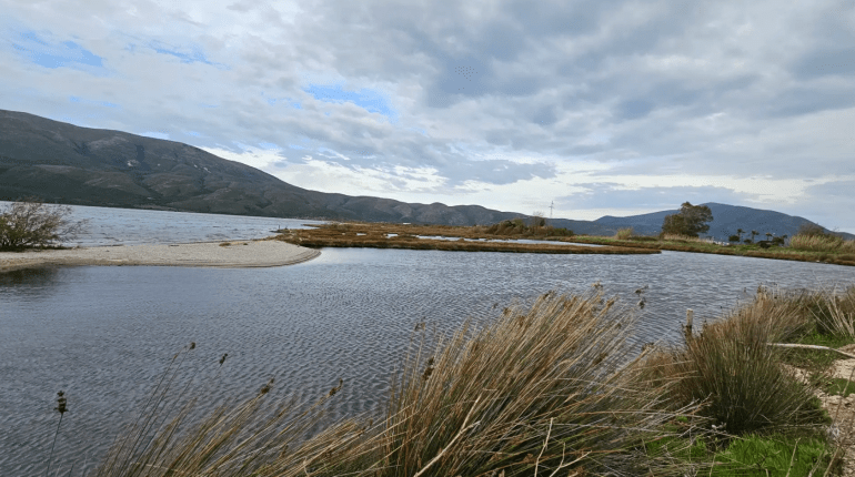 بحيرة باشا ليمان الساحلية جنوب مدينة أوريكوم تعد وجهة مميزة لهواة مراقبة الطيور