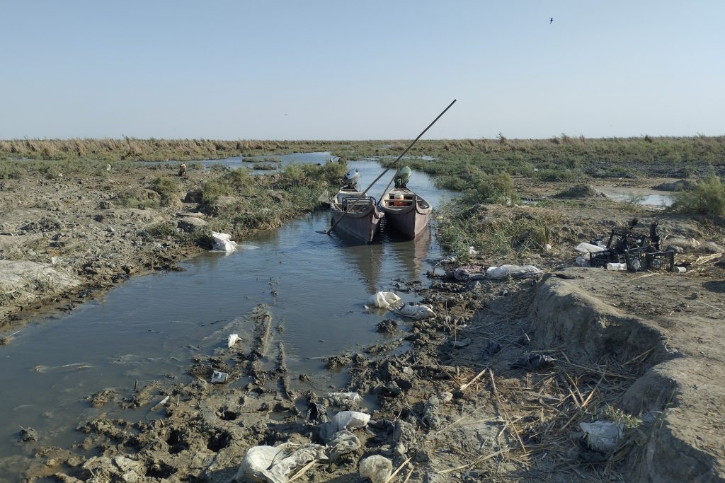 الجفاف يفتك بالثروة الحيوانية في جنوب العراق