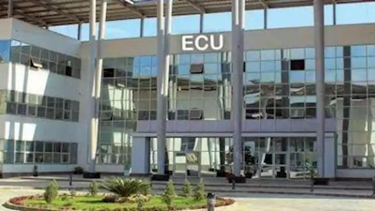 بحضور وزير العمل.. الجامعة المصرية الصينية تحتفل بتسليم 20 عقد عمل لذو