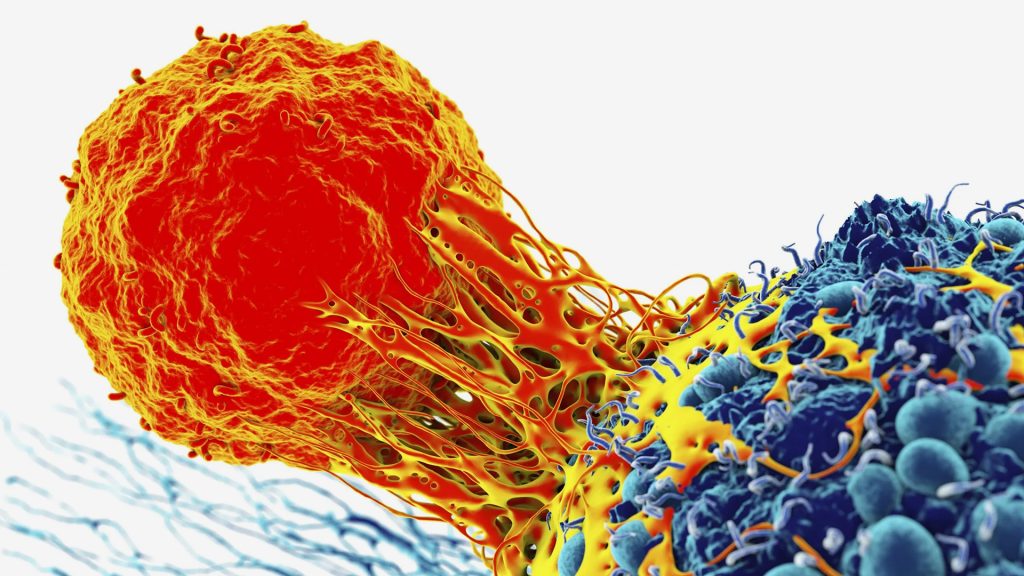18 اختراقا في علاج السرطان.. تعرف عليها