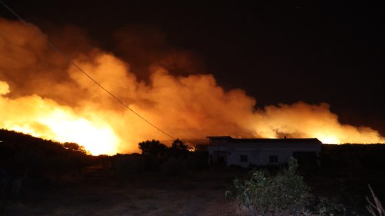 بالفيديو: حريق غابات في تيكيرداغ يمتد إلى المناطق السكنية وإجلاء السكان من بعض الأحياء