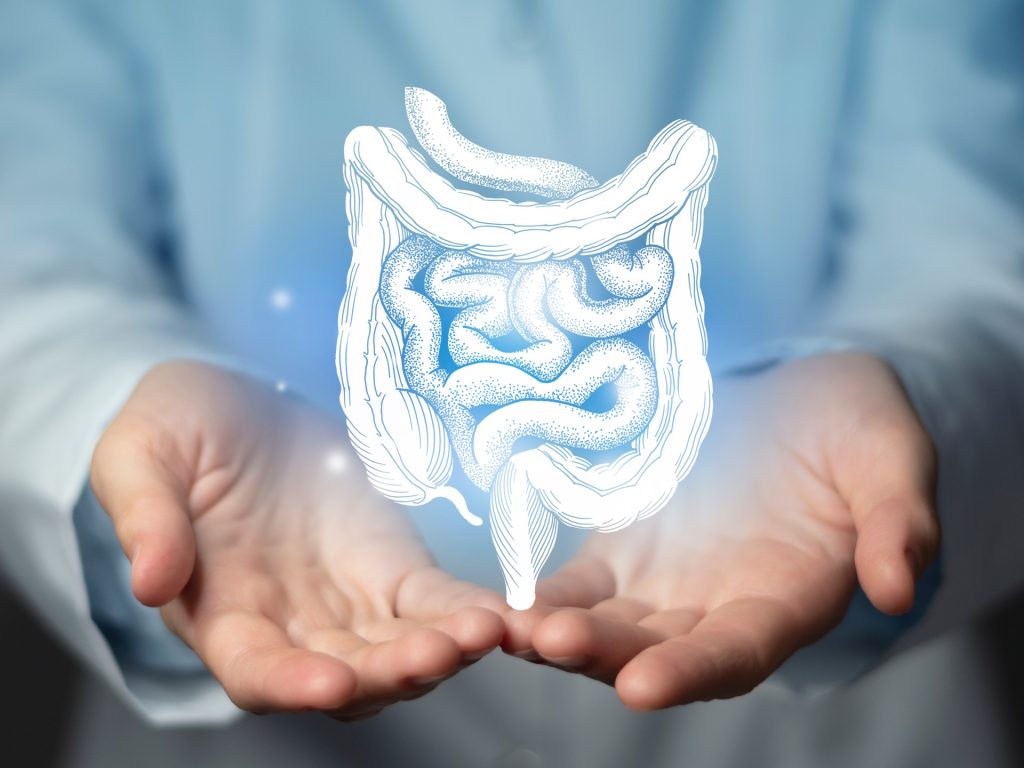 منع وصول وقود تنتجه بكتيريا الأمعاء إلى الكبد يحسّن مستوى السكر في الدم