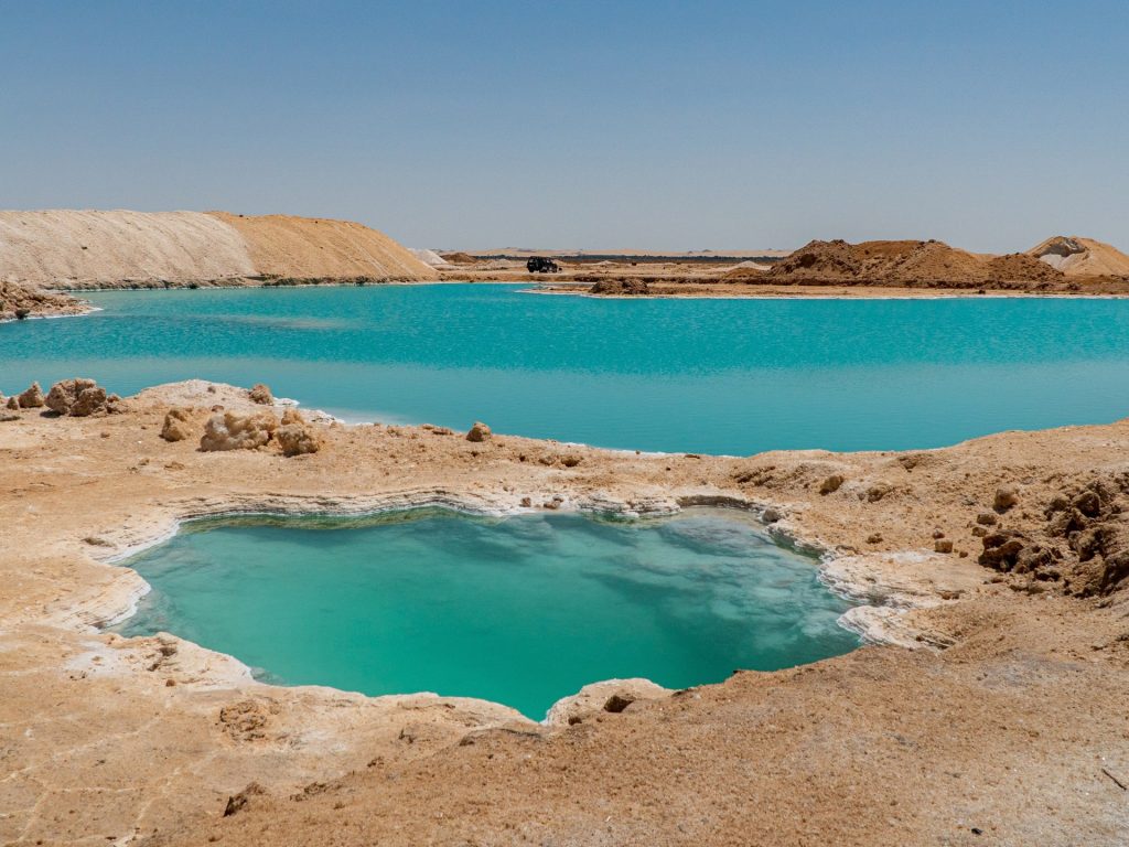 كائن مصري يعيش حيث لا يستطيع أي كائن آخر أن يحيا أبدا