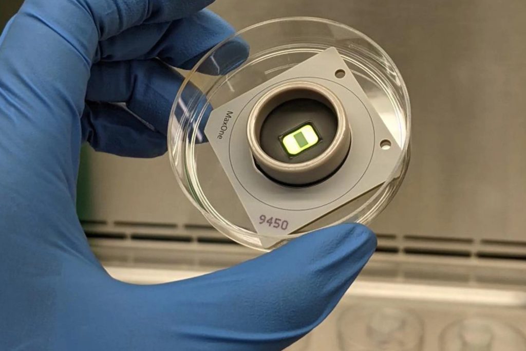 دراسة تثبت أن الذكاء الحقيقي ليس اصطناعيا