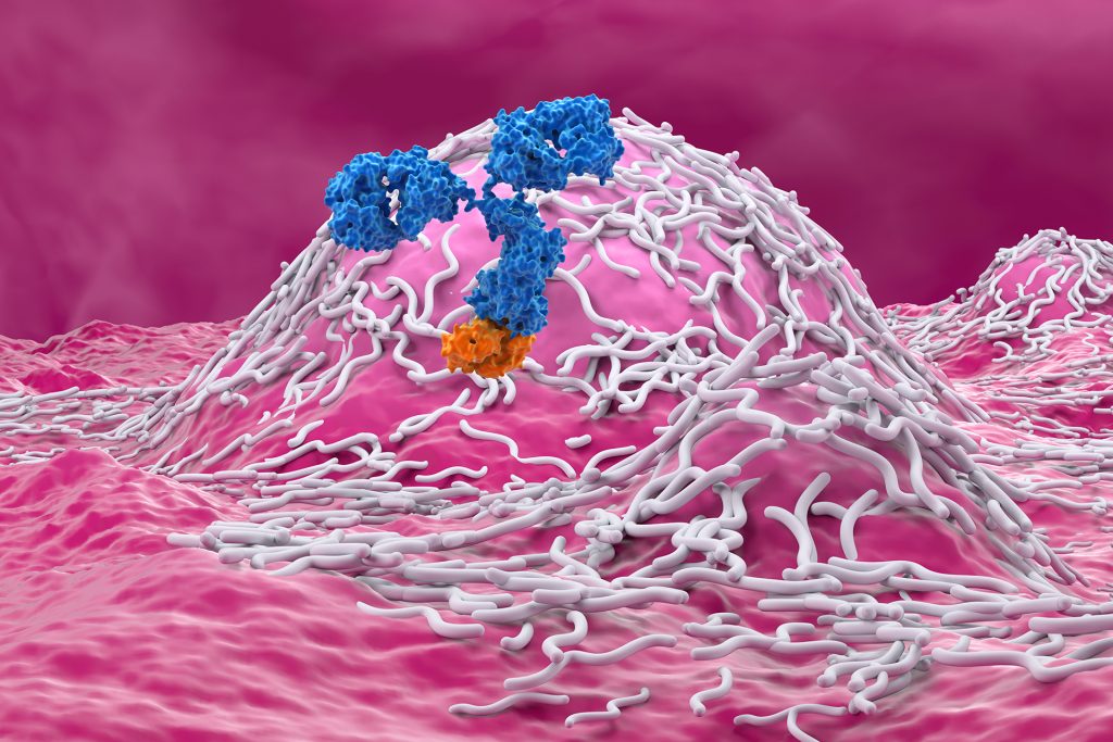 باحثون ألمان يكشفون عن سبب محتمل لفشل علاج الورم الأرومي العصبي