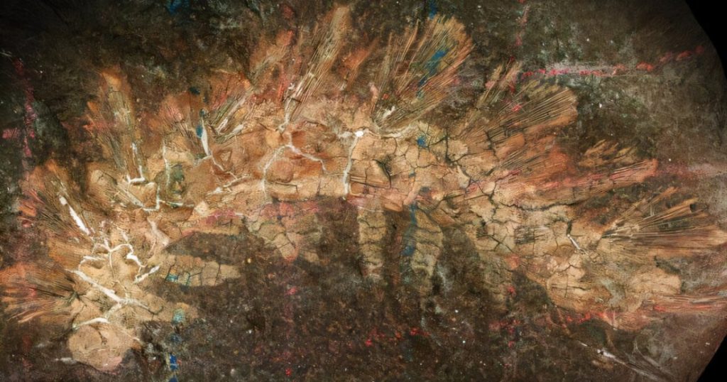 كائن بطول 4 سنتيمترات يغير فهم العلماء لتاريخ الحياة على الأرض