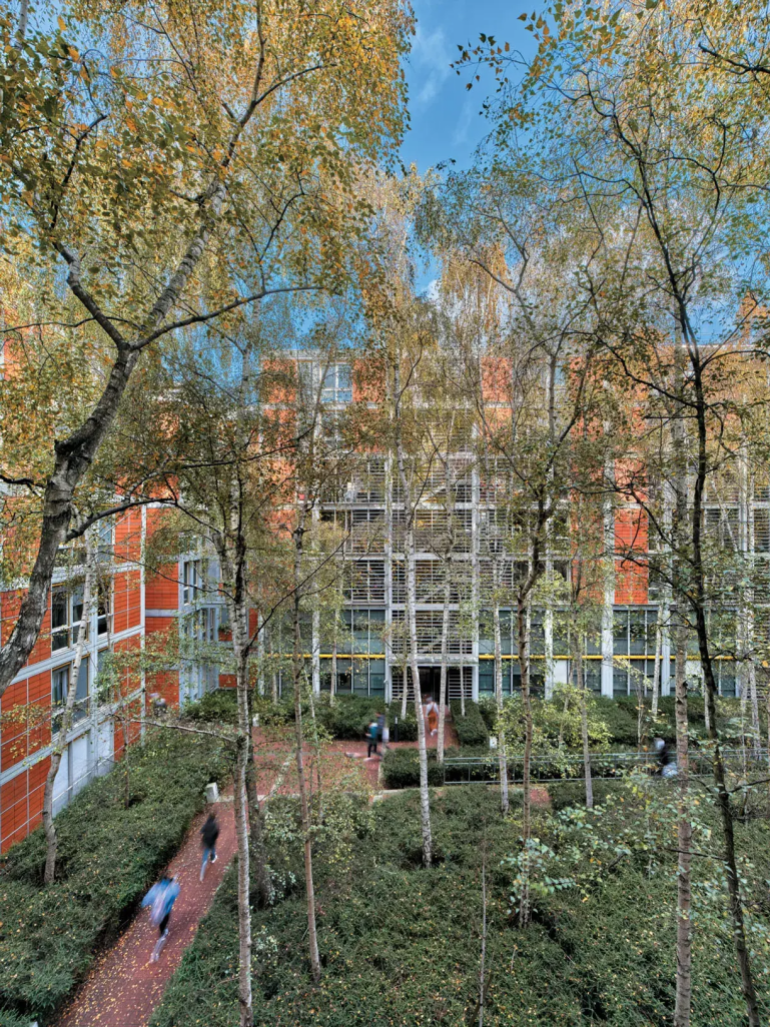 مجمع رو دو مو السكني، من تصميم شركة آر بي بي دبليو، واكتمل بناؤه عام ١٩٩١، هو مشروع سكني اقتصادي يضم ٢٢٠ وحدة سكنية في الدائرة التاسعة عشرة بباريس. بتكليف من "هيئة العقارات في مدينة باريس"، يُولي المشروع الأولوية للخصوصية والمساحات الخضراء في منطقة مكتظة بالسكان.