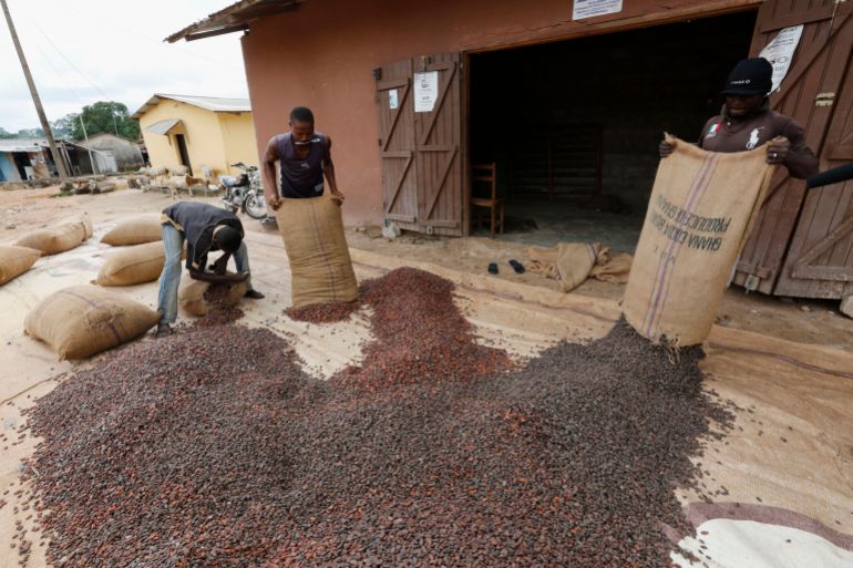 Men pour out cocoa beans to dry in Niable, at the border between Ivory Coast and Ghana, June 19, 2014. Picture taken June 19, 2014. To match Insight GHANA-IVORYCOAST/COCOA REUTERS/Thierry Gouegnon (IVORY COAST - Tags: BUSINESS AGRICULTURE FOOD)