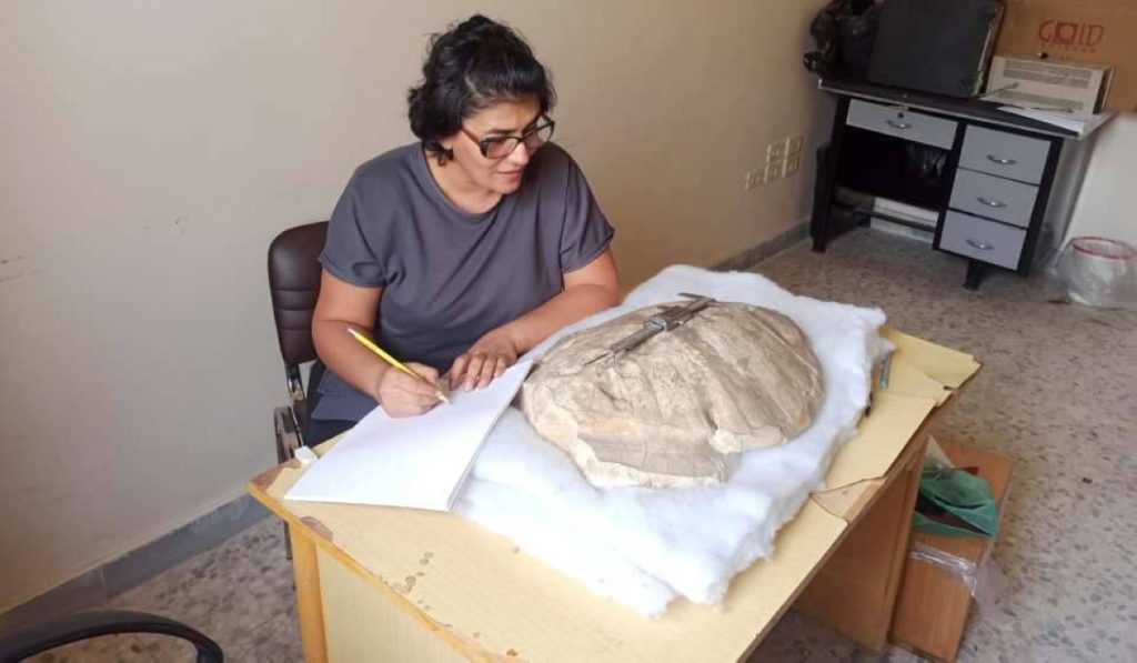 اكتشاف غير متوقّع في سوريا يعيد كتابة تاريخ مخلوقات البحار