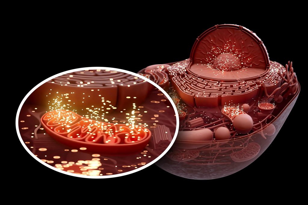 دواء يجفف مصادر الطاقة التي تغذي الخلايا السرطانية