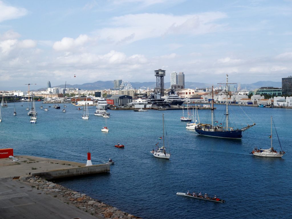 ساراندون وثونبرغ وكانينغهام يبحرون نحو غزة ويشاركون في “أسطول الصمود العالمي” | فن