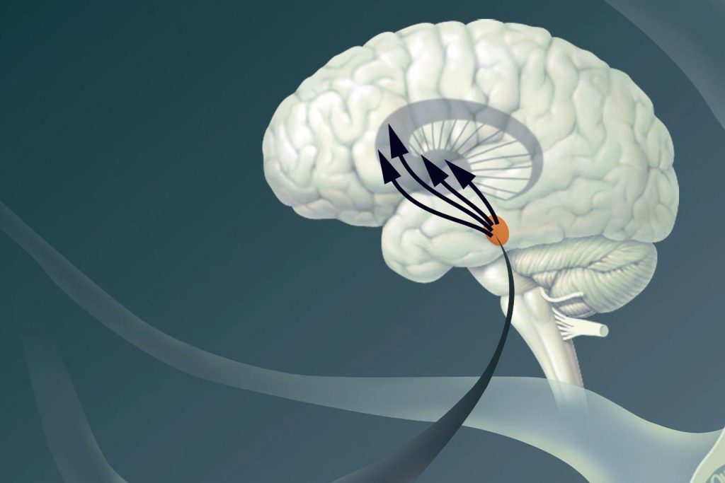 توصيل الأدوية للدماغ بفتح الحاجز الدماغي الدموي