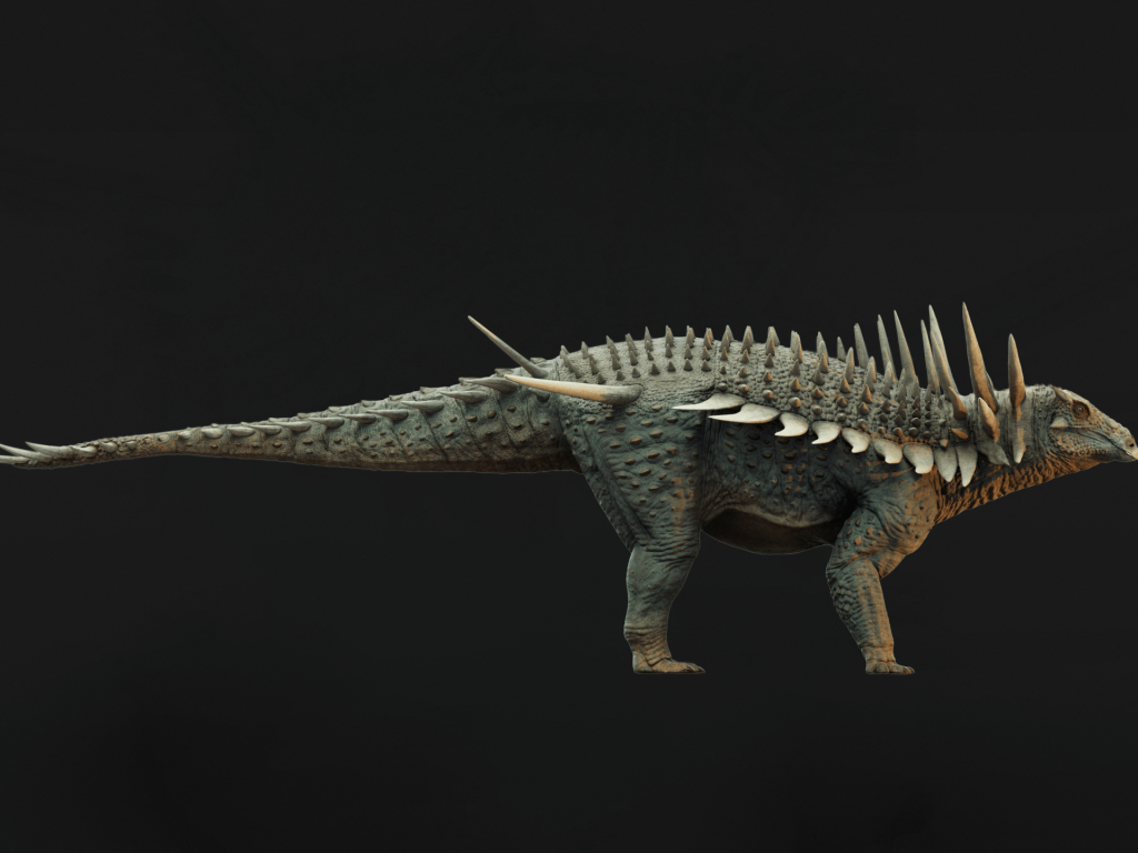 “سبايكوميليس أفير”.. ديناصور مغربي مدرع يفاجئ العلماء | علوم