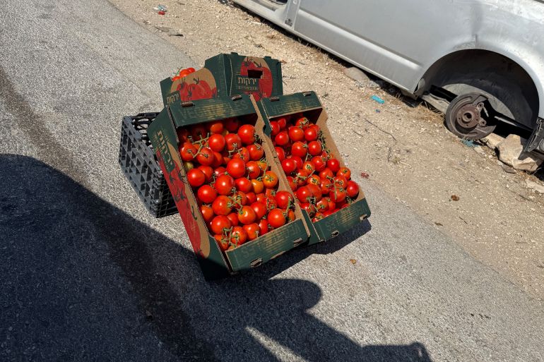 صورة لطريقة تسويق المزارعين الفلسطينيين منتجاتهم على جوانب الطرق في طوباس والأغوار