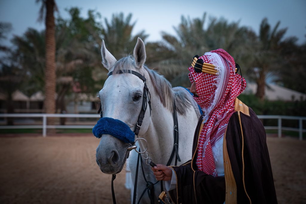 الكشف عن سر قدرة البشر على استئناس الخيول قبل 4200 سنة