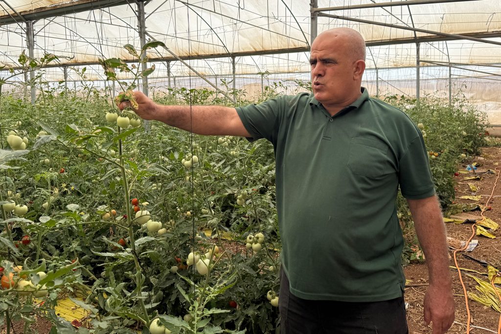 كيف يضيّق الاحتلال على سلة فلسطين الزراعية في الأغوار؟