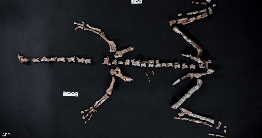 اكتشاف بقايا أحد أقدم الديناصورات في العالم