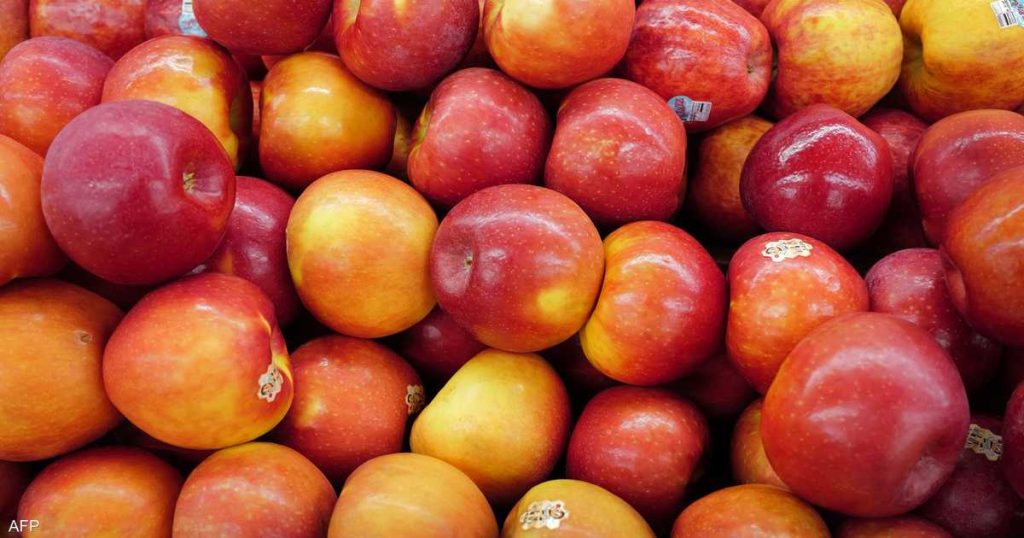 أسرار جديدة تجعل من التفاح وجبتك المفضلة طوال اليوم