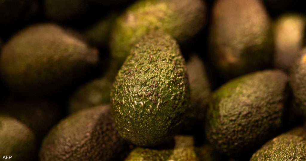 لا تتخلص من قشرة الأفوكادو… هذه فوائدها على الصحة