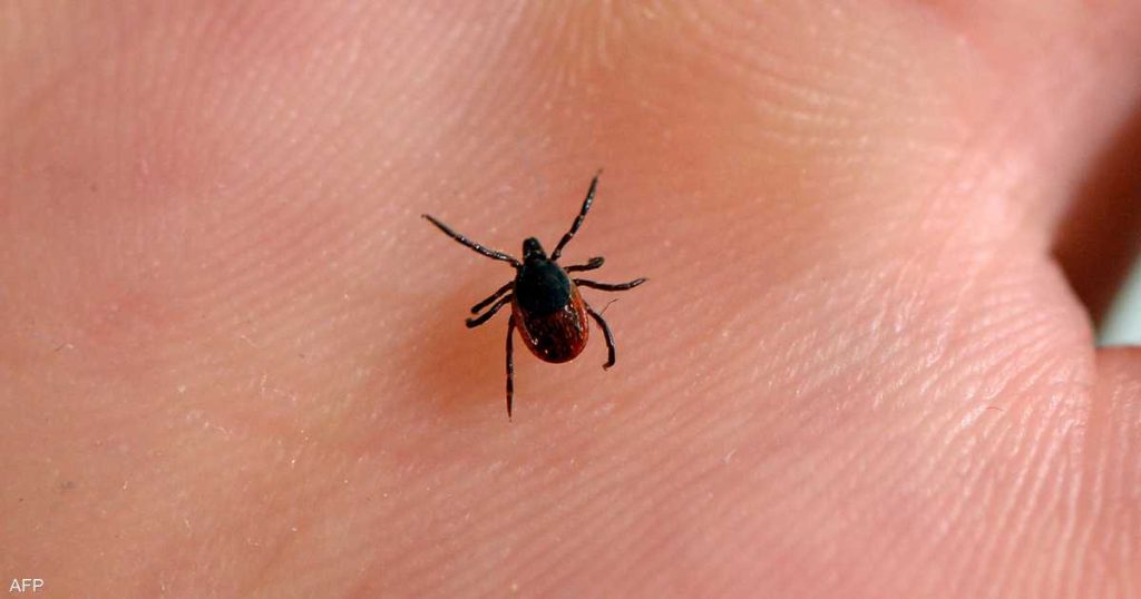 من لدغة إلى موت.. توثيق أول وفاة بسبب متلازمة “ألفا غال”