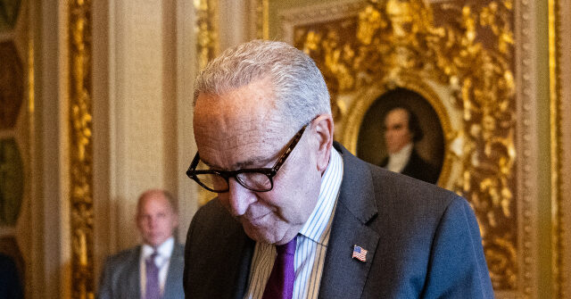 ديم يصف قادة الحزب بـ “جراء الشرفة” لرضوخهم للجمهوريين