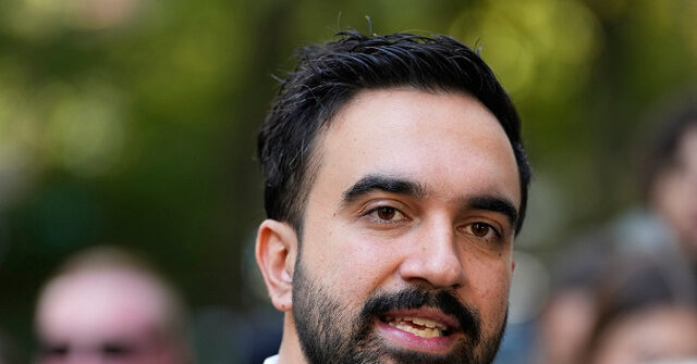 انتصار الممداني “استفتاء” على المقاومة الفلسطينية