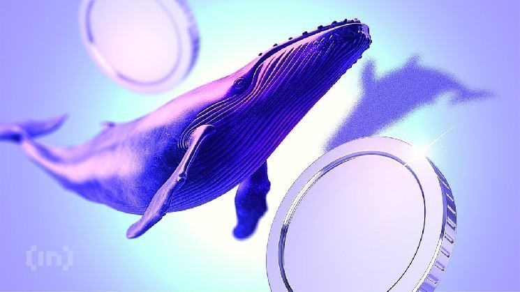 ما الذي تشتريه الحيتان المشفرة خلال تراجع السوق في أوائل ديسمبر