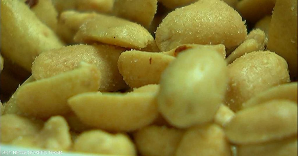 وجبة خفيفة يوميا.. تؤدي إلى قوة الذاكرة لاحقا